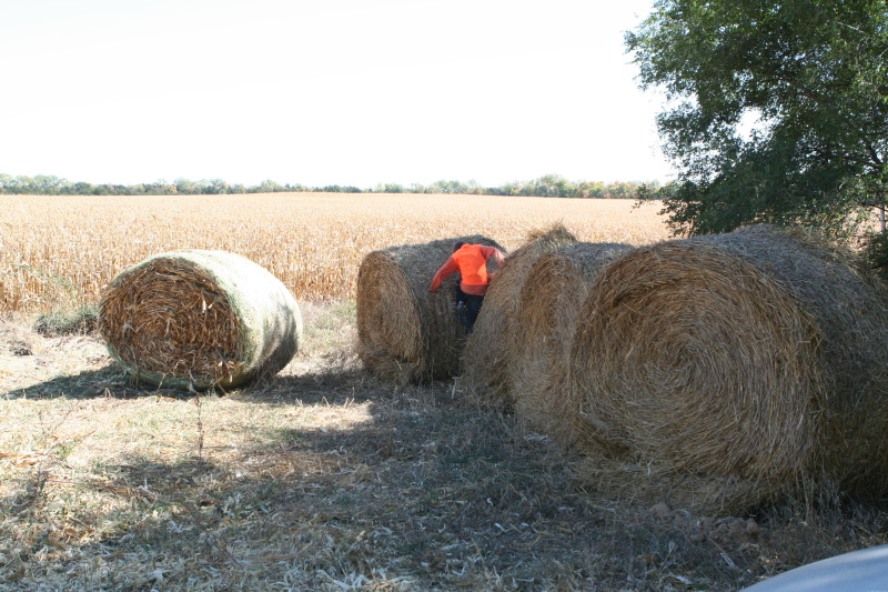 2011/10(October)/South-Dakota-SD/1-Mt-Vernon/Day-1-Hunting/800x600_2011-10-01-SD-Hunting-30-Chance-Haybale.JPG