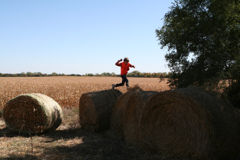 2011/10(October)/South-Dakota-SD/1-Mt-Vernon/Day-1-Hunting/800x600_2011-10-01-SD-Hunting-34-Chance-Haybale.JPG