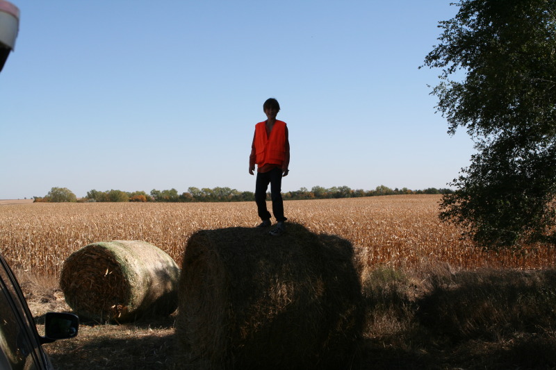 2011/10(October)/South-Dakota-SD/1-Mt-Vernon/Day-1-Hunting/800x600_2011-10-01-SD-Hunting-37-Chance-Haybale.JPG