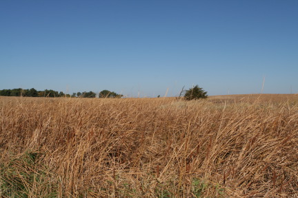 2011-10-01-SD-Hunting-13.JPG