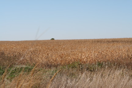 2011-10-01-SD-Hunting-16.JPG