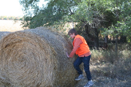 2011-10-01-SD-Hunting-27-Chance-Haybale.JPG