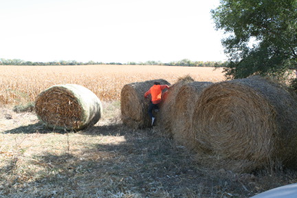 2011-10-01-SD-Hunting-29-Chance-Haybale.JPG