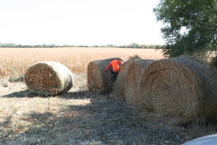 2011-10-01-SD-Hunting-30-Chance-Haybale.JPG