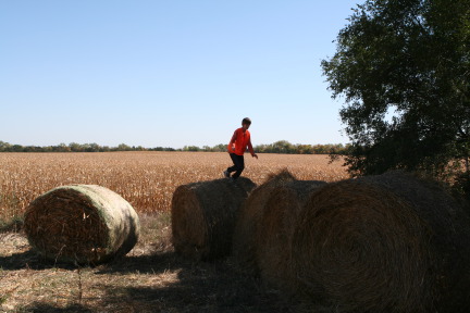 2011-10-01-SD-Hunting-33-Chance-Haybale.JPG