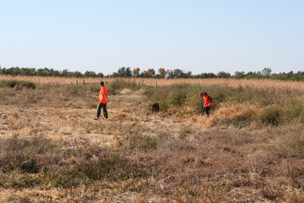 2011/10(October)/South-Dakota-SD/1-Mt-Vernon/Day-2-Hunting/1024x768_2011-10-02-SD-Hunting-12-Suzi-Dax-Chance.JPG