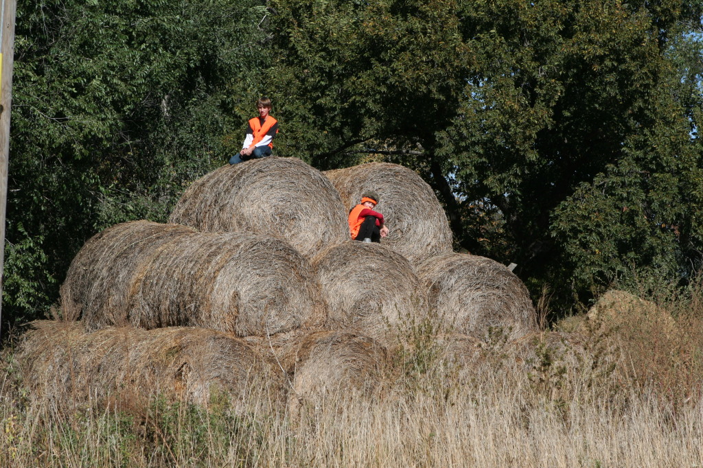 2011/10(October)/South-Dakota-SD/1-Mt-Vernon/Day-2-Hunting/1024x768_2011-10-02-SD-Hunting-36-Chance-Dax.JPG