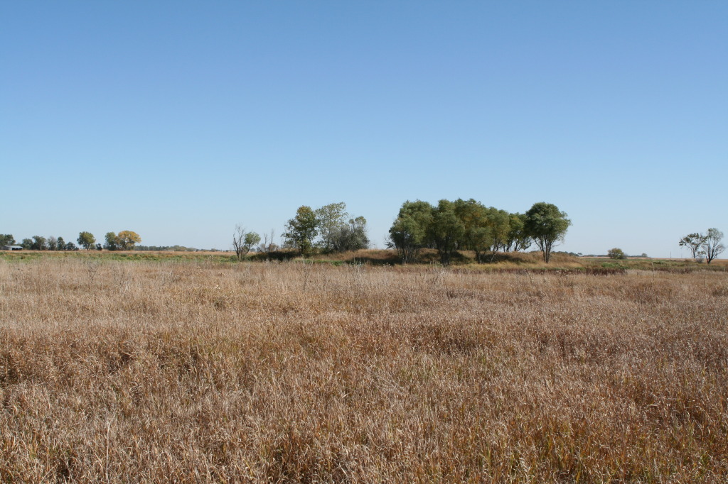 2011/10(October)/South-Dakota-SD/1-Mt-Vernon/Day-2-Hunting/1024x768_2011-10-02-SD-Hunting-37.JPG