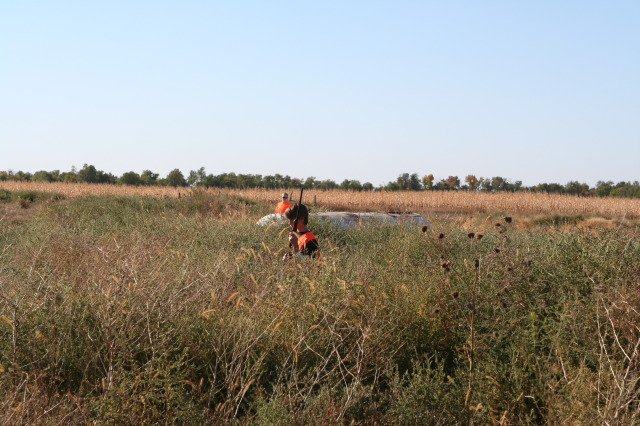2011/10(October)/South-Dakota-SD/1-Mt-Vernon/Day-2-Hunting/640x480_2011-10-02-SD-Hunting-10-Suzi-Dax-Chance.JPG