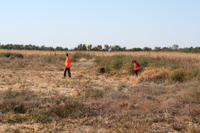 2011/10(October)/South-Dakota-SD/1-Mt-Vernon/Day-2-Hunting/640x480_2011-10-02-SD-Hunting-12-Suzi-Dax-Chance.JPG