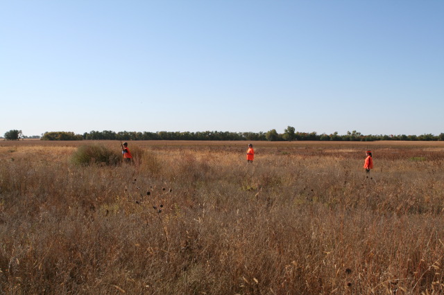 2011/10(October)/South-Dakota-SD/1-Mt-Vernon/Day-2-Hunting/640x480_2011-10-02-SD-Hunting-15-Suzi-Dax-Chance.JPG