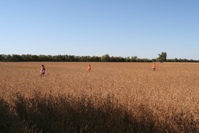 2011/10(October)/South-Dakota-SD/1-Mt-Vernon/Day-2-Hunting/640x480_2011-10-02-SD-Hunting-28-Suzi-Dax-Chance.JPG