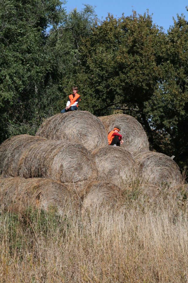 2011/10(October)/South-Dakota-SD/1-Mt-Vernon/Day-2-Hunting/640x480_2011-10-02-SD-Hunting-35-Chance-Dax.JPG