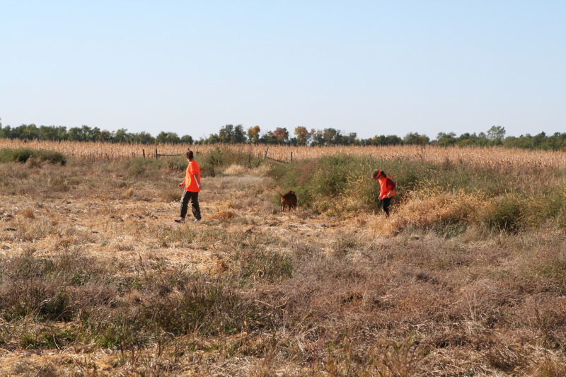 2011/10(October)/South-Dakota-SD/1-Mt-Vernon/Day-2-Hunting/800x600_2011-10-02-SD-Hunting-12-Suzi-Dax-Chance.JPG