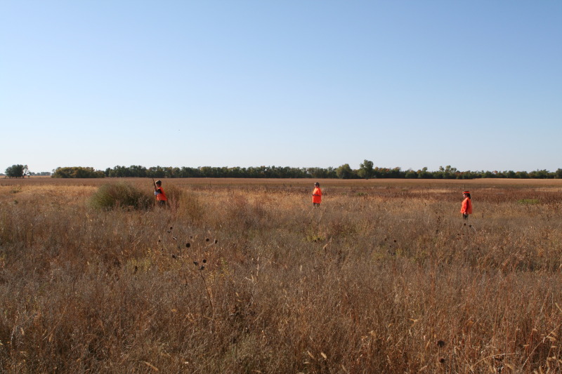2011/10(October)/South-Dakota-SD/1-Mt-Vernon/Day-2-Hunting/800x600_2011-10-02-SD-Hunting-15-Suzi-Dax-Chance.JPG