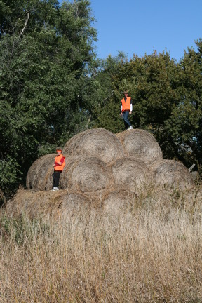 2011-10-02-SD-Hunting-34-Chance-Dax.JPG