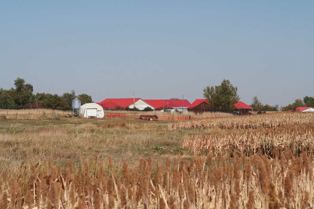2011/10(October)/South-Dakota-SD/1-Mt-Vernon/Day-3-Hunting/1024x768_2011-10-03-SD-Hunting-31.JPG