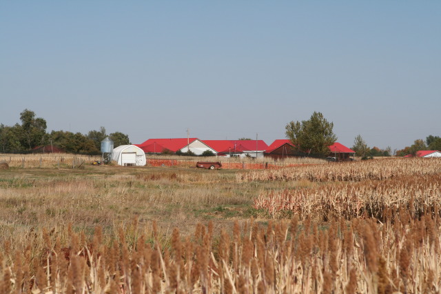 2011/10(October)/South-Dakota-SD/1-Mt-Vernon/Day-3-Hunting/640x480_2011-10-03-SD-Hunting-31.JPG