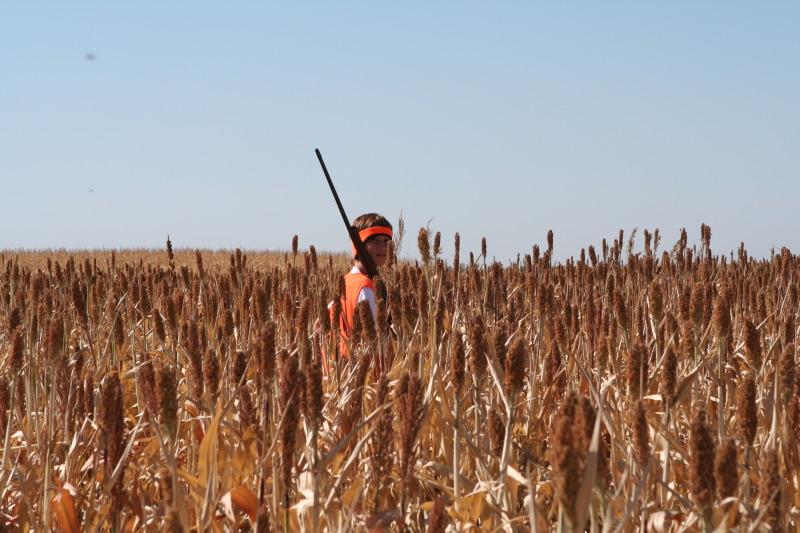2011/10(October)/South-Dakota-SD/1-Mt-Vernon/Day-3-Hunting/800x600_2011-10-03-SD-Hunting-21-Chance-GOOD.JPG