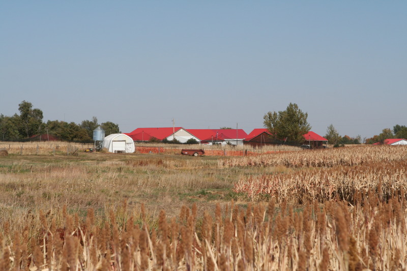 2011/10(October)/South-Dakota-SD/1-Mt-Vernon/Day-3-Hunting/800x600_2011-10-03-SD-Hunting-31.JPG