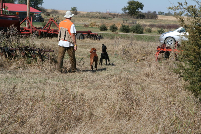 2011/10(October)/South-Dakota-SD/1-Mt-Vernon/Day-3-Hunting/800x600_2011-10-03-SD-Hunting-38-Travis-Bevo.JPG
