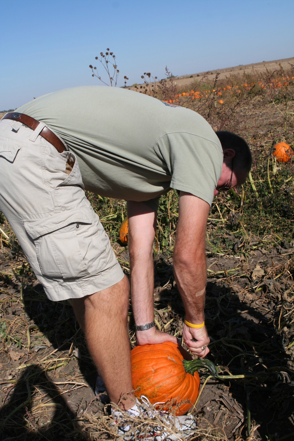 2011/10(October)/South-Dakota-SD/1-Mt-Vernon/Day-4-Pumpkins-Corn-Palace/1024x768_2011-10-04-SD-05-Pumpkin-Patch-Travis.JPG
