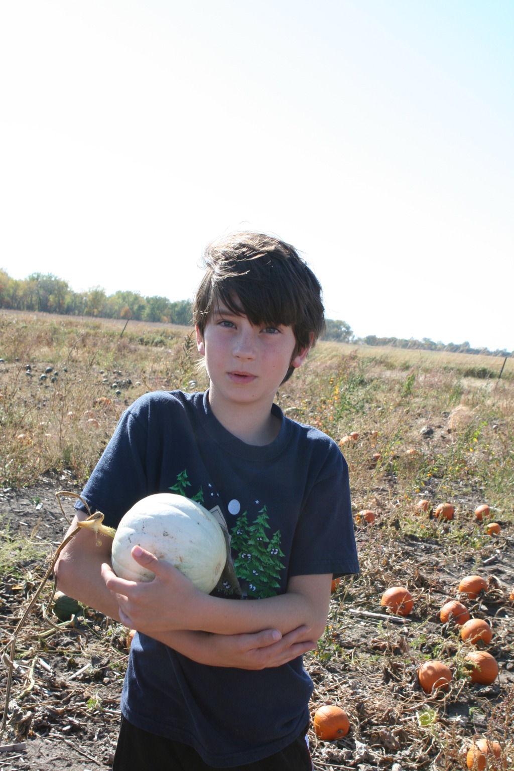 2011/10(October)/South-Dakota-SD/1-Mt-Vernon/Day-4-Pumpkins-Corn-Palace/1024x768_2011-10-04-SD-09-Pumpkin-Patch-Dax.JPG