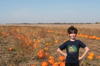 2011/10(October)/South-Dakota-SD/1-Mt-Vernon/Day-4-Pumpkins-Corn-Palace/2011-10-04-SD-01-Pumpkin-Patch-Dax.JPG