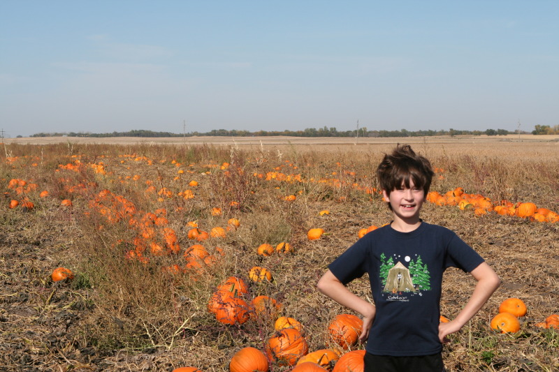 2011/10(October)/South-Dakota-SD/1-Mt-Vernon/Day-4-Pumpkins-Corn-Palace/800x600_2011-10-04-SD-01-Pumpkin-Patch-Dax.JPG