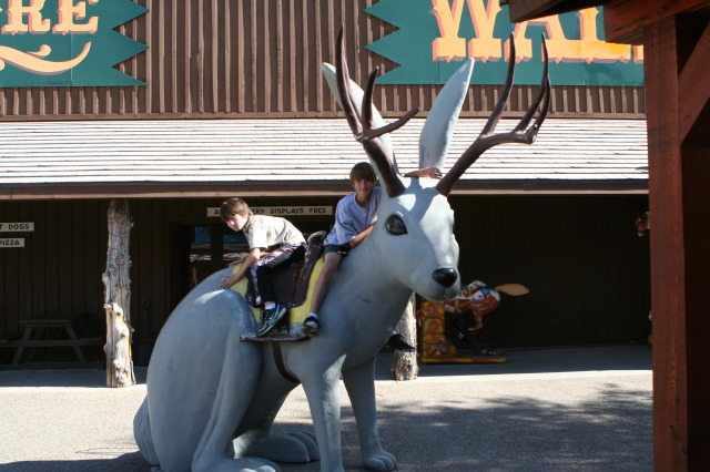 2011/10(October)/South-Dakota-SD/3-Wall-Drug/640x480_2011-10-05-SD-Wall-Drug-03-Dax-Chance-Jackolope.JPG