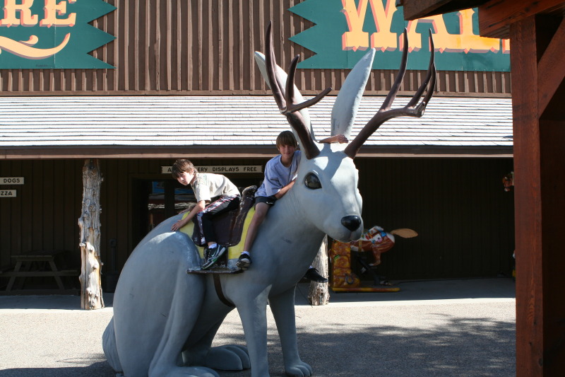 2011/10(October)/South-Dakota-SD/3-Wall-Drug/800x600_2011-10-05-SD-Wall-Drug-04-Dax-Chance-Jackolope.JPG