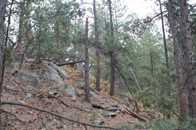 2011/10(October)/South-Dakota-SD/5-Cosmos/640x480_2011-10-06-SD-Cosmos-12.JPG