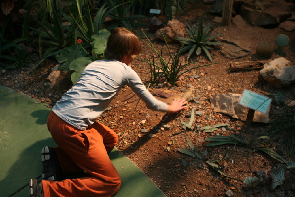 2011/10(October)/South-Dakota-SD/7-Reptile-Gardens/1024x768_2011-10-06-SD-Reptile-Gardens-25-Chance.JPG