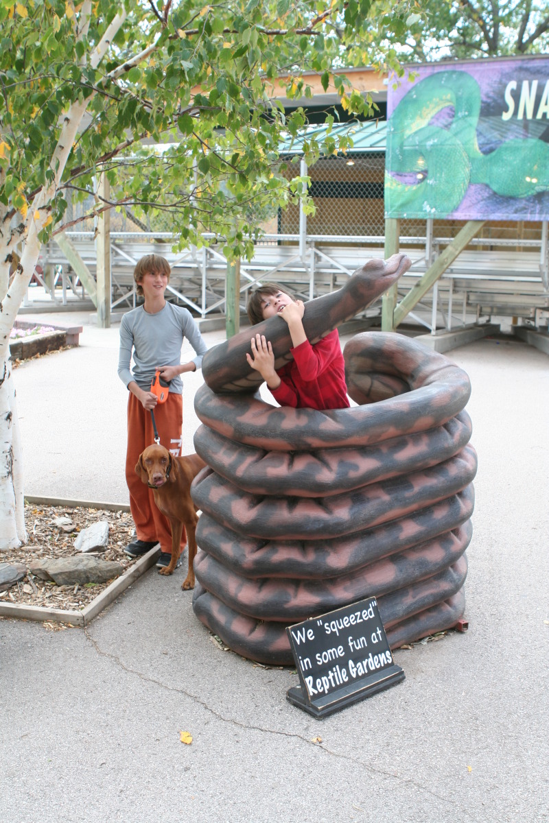 2011/10(October)/South-Dakota-SD/7-Reptile-Gardens/800x600_2011-10-06-SD-Reptile-Gardens-01-Chance-Bevo-Dax.JPG