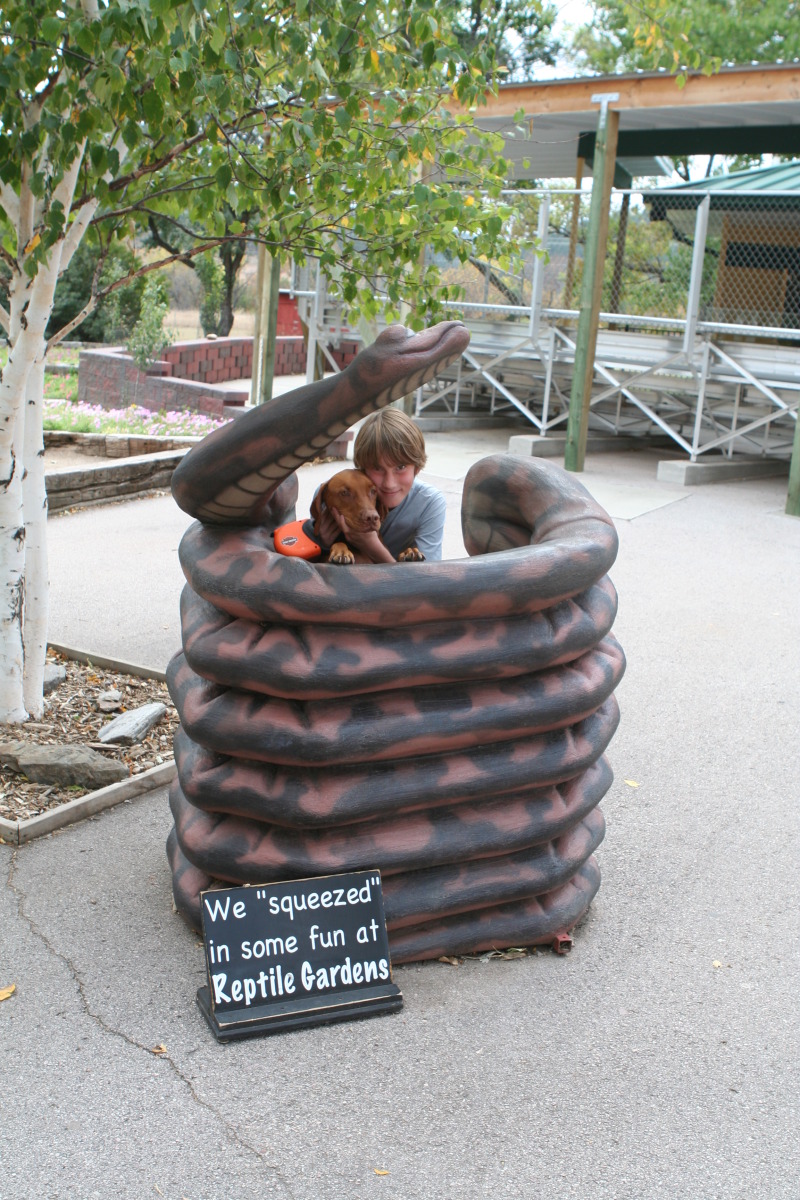 2011/10(October)/South-Dakota-SD/7-Reptile-Gardens/800x600_2011-10-06-SD-Reptile-Gardens-02-Chance-Bevo.JPG