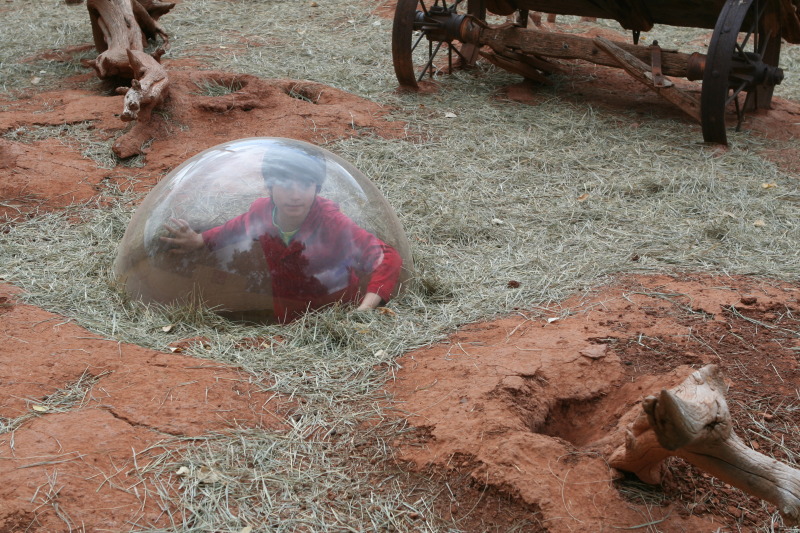 2011/10(October)/South-Dakota-SD/7-Reptile-Gardens/800x600_2011-10-06-SD-Reptile-Gardens-04-Dax.JPG