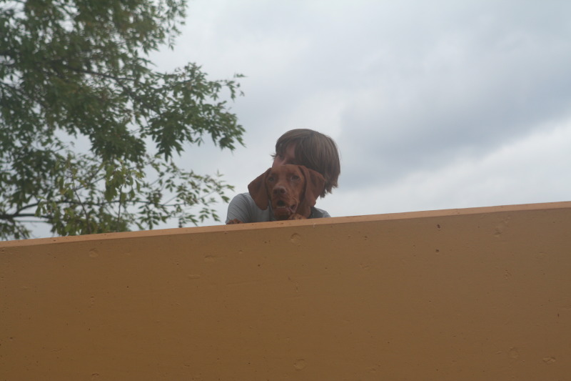 2011/10(October)/South-Dakota-SD/7-Reptile-Gardens/800x600_2011-10-06-SD-Reptile-Gardens-09-Chance-Bevo.JPG