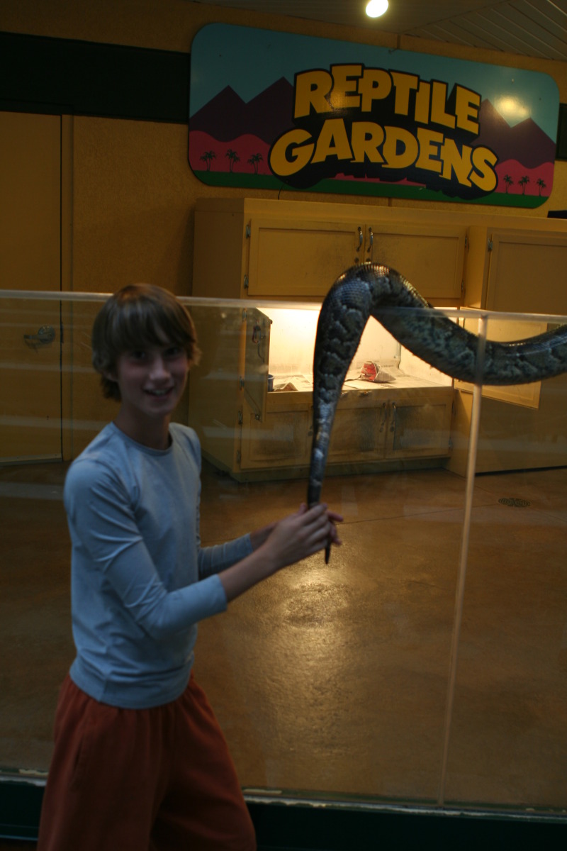 2011/10(October)/South-Dakota-SD/7-Reptile-Gardens/800x600_2011-10-06-SD-Reptile-Gardens-16-Chance.JPG