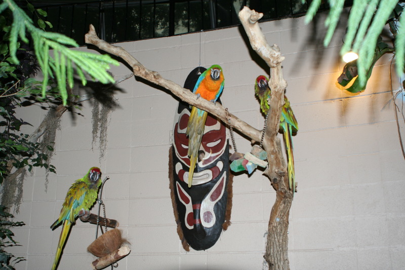 2011/10(October)/South-Dakota-SD/7-Reptile-Gardens/800x600_2011-10-06-SD-Reptile-Gardens-26.JPG