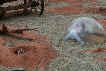 2011-10-06-SD-Reptile-Gardens-06-Chance.JPG