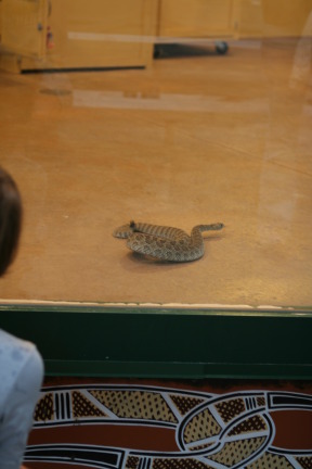 2011-10-06-SD-Reptile-Gardens-14-Rattlesnake.JPG