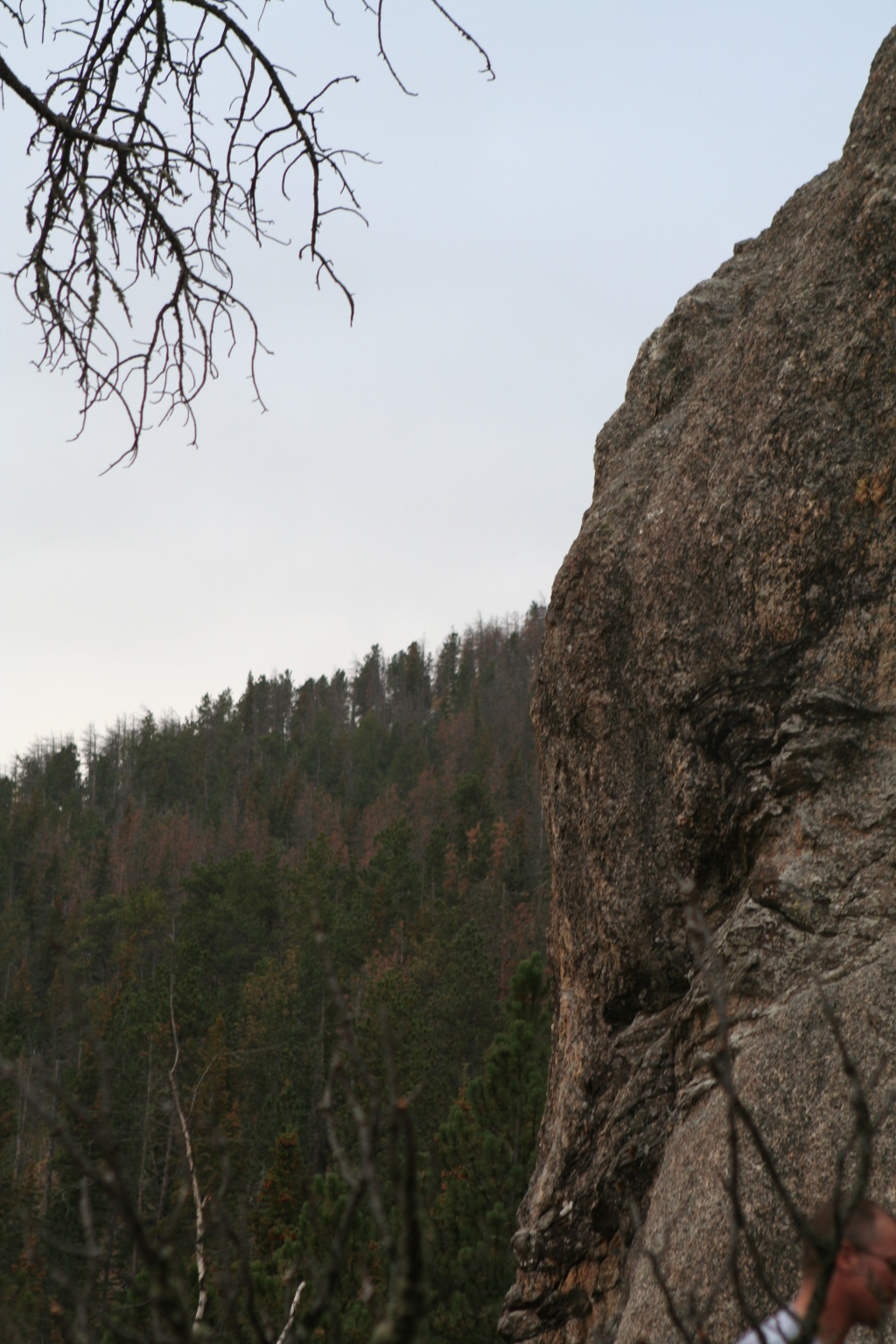 2011/10(October)/South-Dakota-SD/8-Needles-Highway-Custer-State-Park/1024x768_2011-10-07-SD-Custer-State-Park-Needles-Highway-02.JPG
