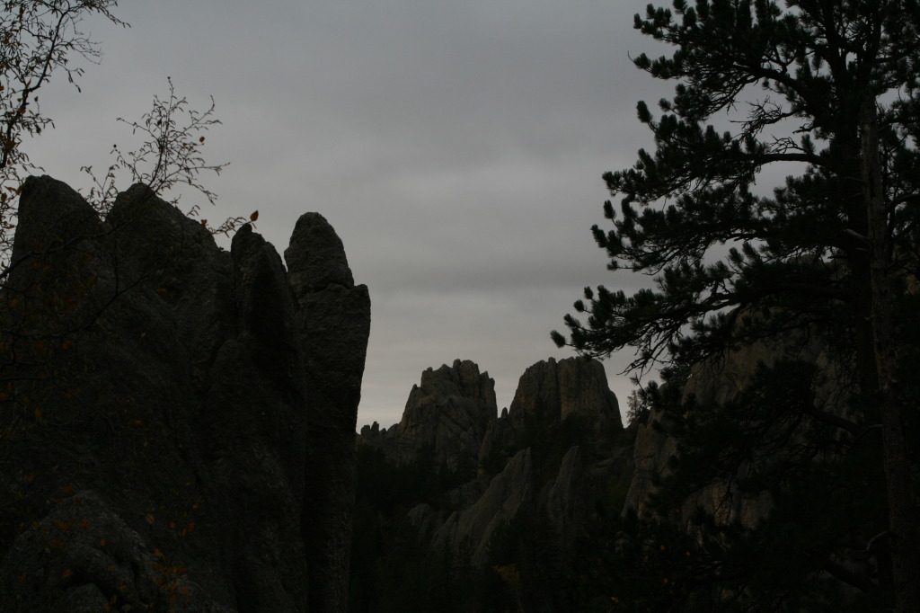2011/10(October)/South-Dakota-SD/8-Needles-Highway-Custer-State-Park/1024x768_2011-10-07-SD-Custer-State-Park-Needles-Highway-27.JPG