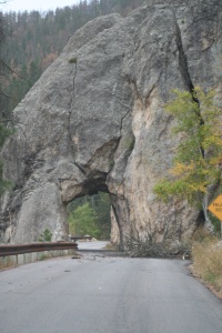 2011/10(October)/South-Dakota-SD/8-Needles-Highway-Custer-State-Park/2011-10-07-SD-Custer-State-Park-Needles-Highway-01.JPG