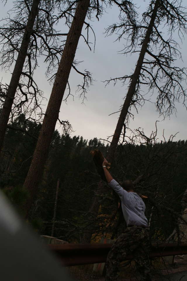 2011/10(October)/South-Dakota-SD/8-Needles-Highway-Custer-State-Park/640x480_2011-10-07-SD-Custer-State-Park-Needles-Highway-07-Travis.JPG