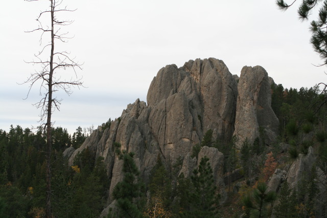 2011/10(October)/South-Dakota-SD/8-Needles-Highway-Custer-State-Park/640x480_2011-10-07-SD-Custer-State-Park-Needles-Highway-14.JPG