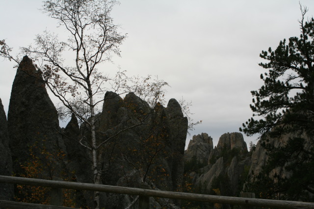 2011/10(October)/South-Dakota-SD/8-Needles-Highway-Custer-State-Park/640x480_2011-10-07-SD-Custer-State-Park-Needles-Highway-15.JPG