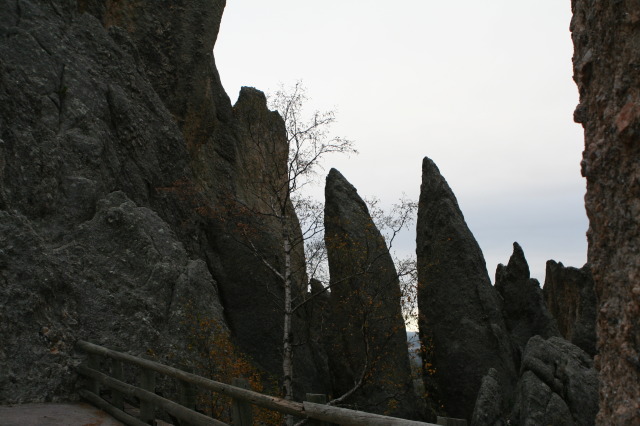 2011/10(October)/South-Dakota-SD/8-Needles-Highway-Custer-State-Park/640x480_2011-10-07-SD-Custer-State-Park-Needles-Highway-17.JPG