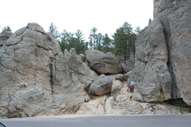 2011/10(October)/South-Dakota-SD/8-Needles-Highway-Custer-State-Park/640x480_2011-10-07-SD-Custer-State-Park-Needles-Highway-21-Travis-Chance-Bevo.JPG