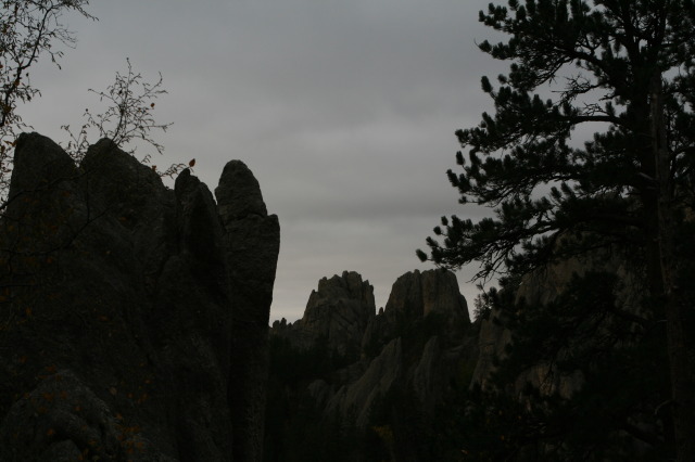 2011/10(October)/South-Dakota-SD/8-Needles-Highway-Custer-State-Park/640x480_2011-10-07-SD-Custer-State-Park-Needles-Highway-27.JPG